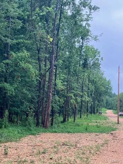 73 Madison Cr 410, Fredericktown, MO 63645
