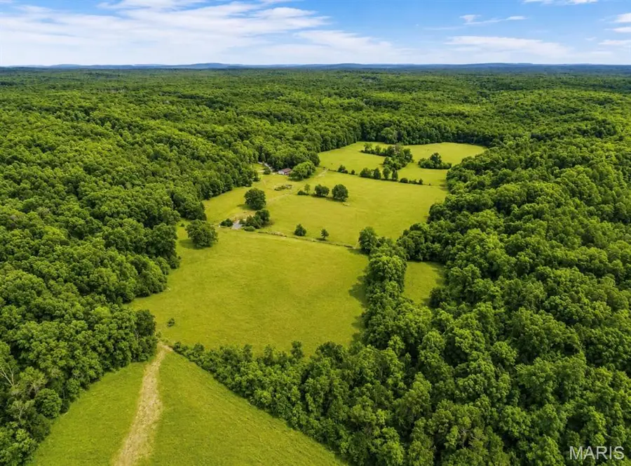 13016 Jinkerson Road, Potosi, MO 63664 - #2