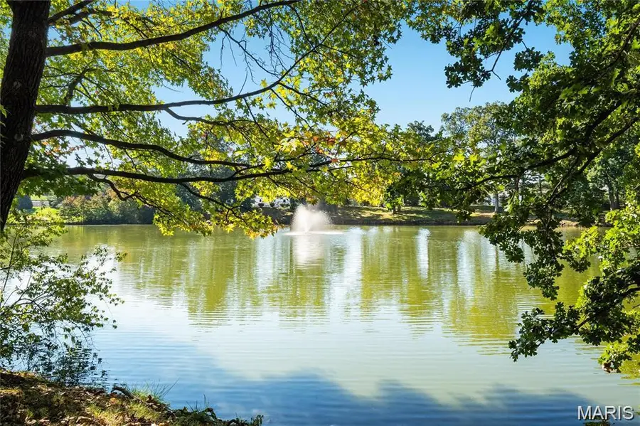 13238 Pinetree Lake Drive, Town And Country, MO 63017 - #3