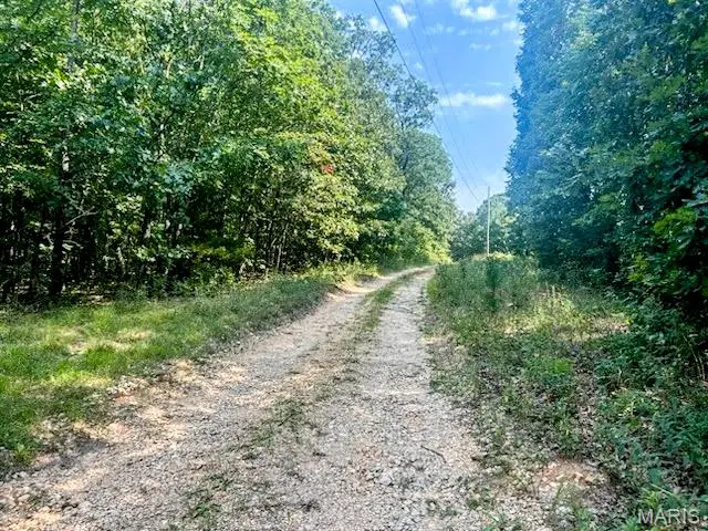 0 High Top Road, Potosi, MO 63664 - #1