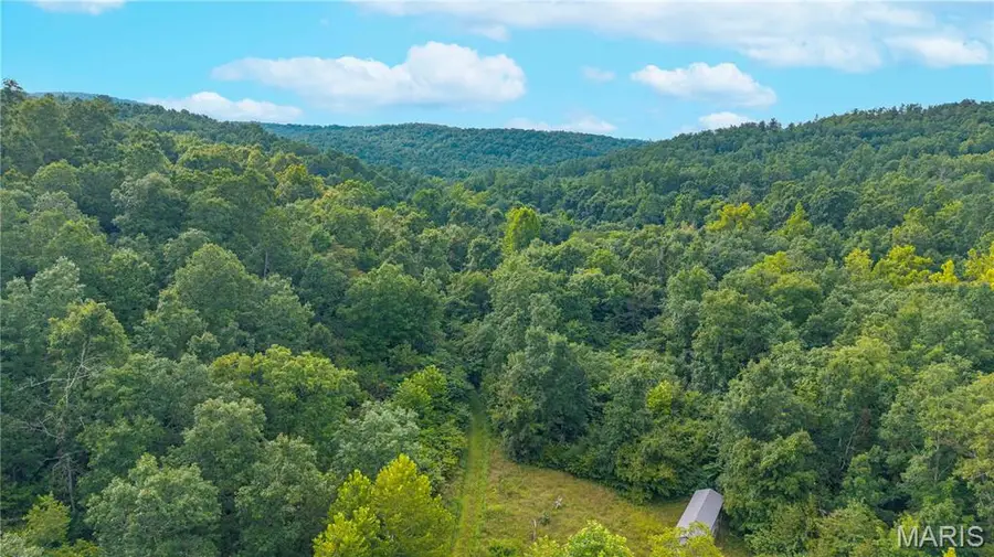 160 County Road 203, Annapolis, MO 63620 - #2