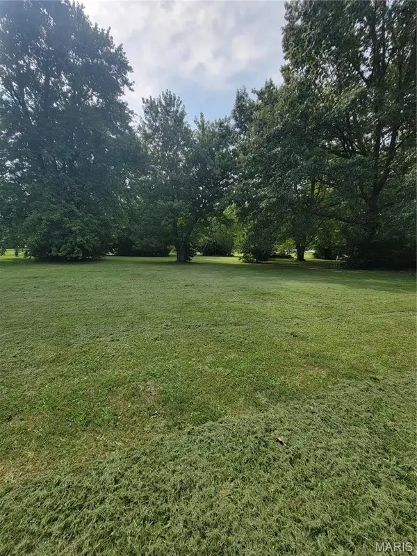 TBD S Walnut Street, Litchfield, IL 62056