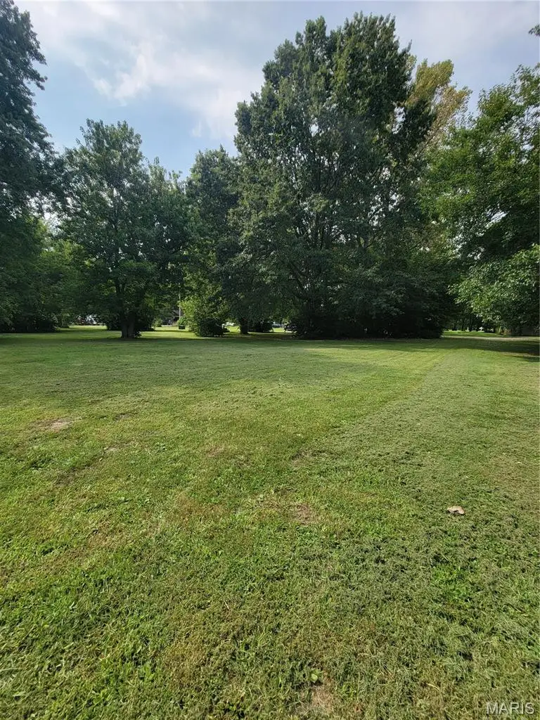 TBD S Walnut Street, Litchfield, IL 62056 - #2