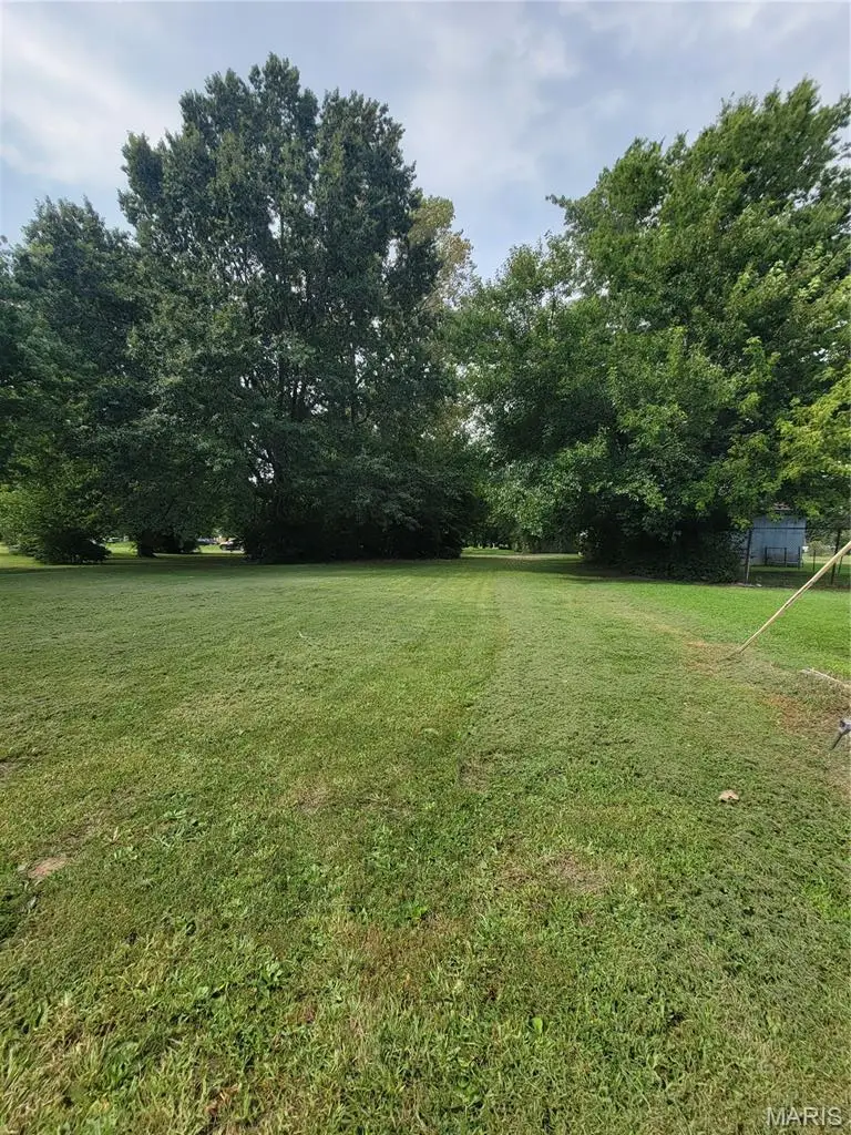 TBD S Walnut Street, Litchfield, IL 62056 - #3