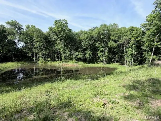 16 Turning Leaf Lane, Foley, MO 63347 - #1