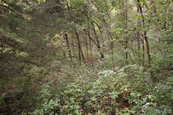 4.65 +/- Acres Pendleton Lost Creek Road, Warrenton, MO 63383