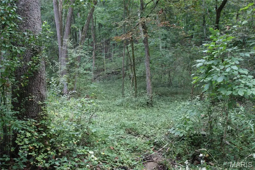 6.72 +/- Acres Pendleton Lost Creek Road, Warrenton, MO 63383 - #1