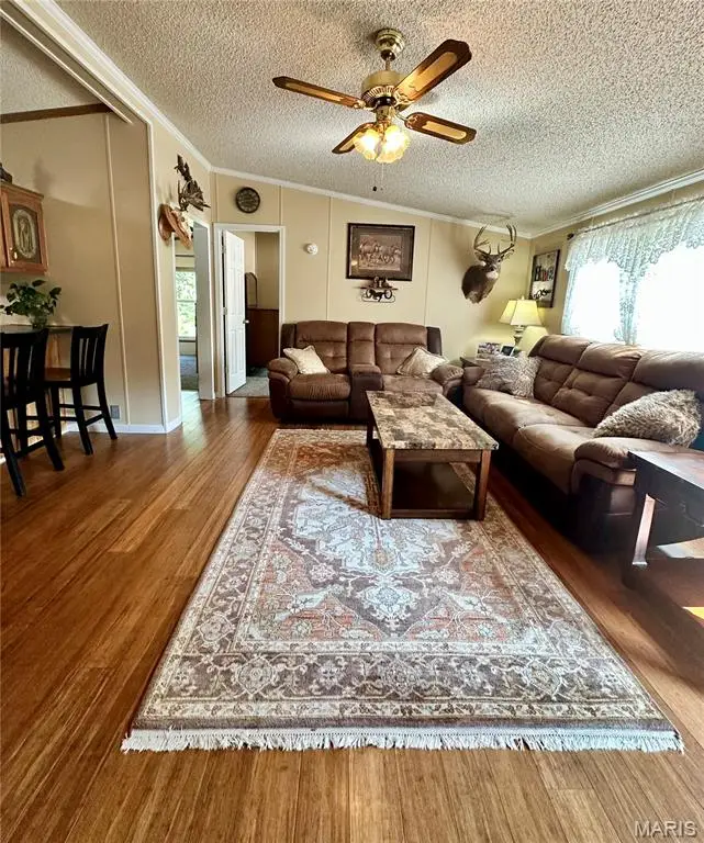 560 Main Street, Leslie, MO 63056 - #3
