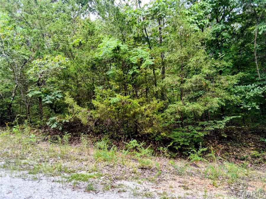 Lots 26-29 Kent Drive, Cedar Hill, MO 63016 - #3