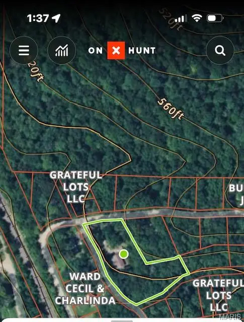 364 Black River One Drive, Piedmont, MO 63957 - #2