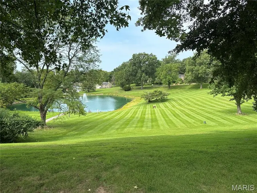 681 Henry Avenue, Manchester, MO 63011 - #3