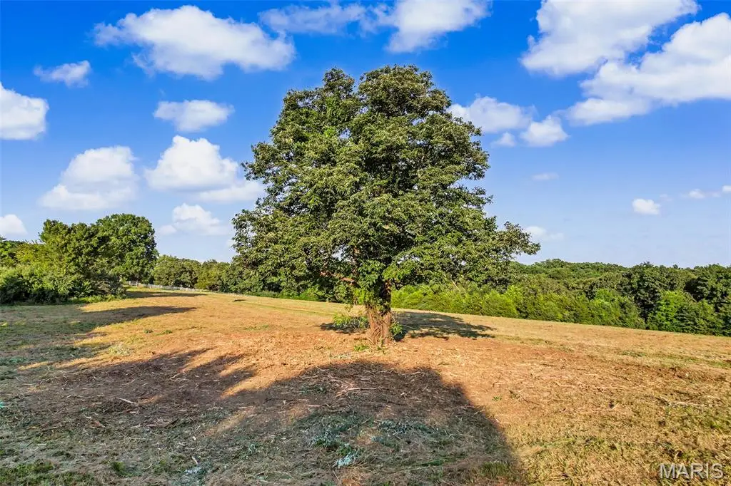 0000 Hyfield Road, De Soto, MO 63020 - #1