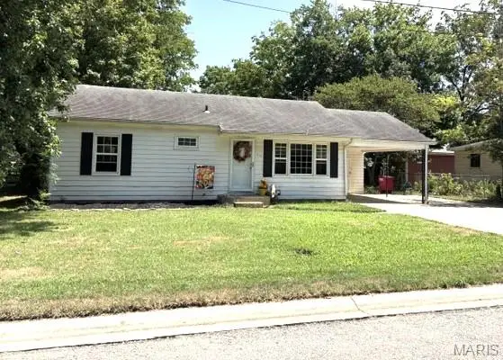 316 Marian Avenue, Sikeston, MO 63801 - #1