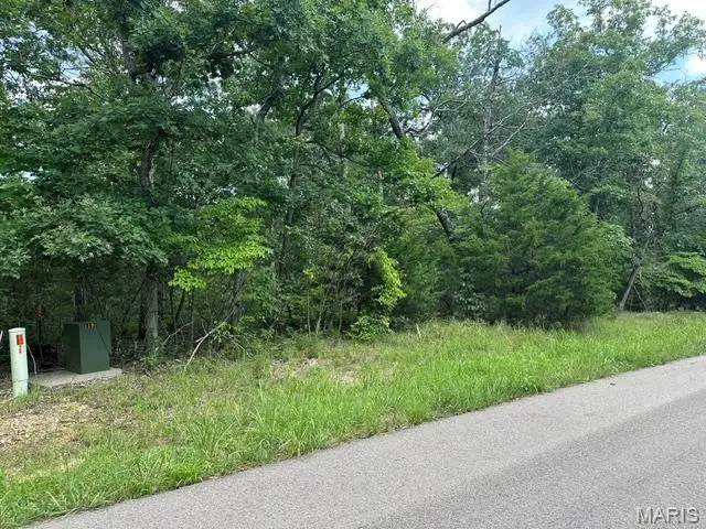 483 Buzzard Rock Road, Farmington, MO 63640 - #1