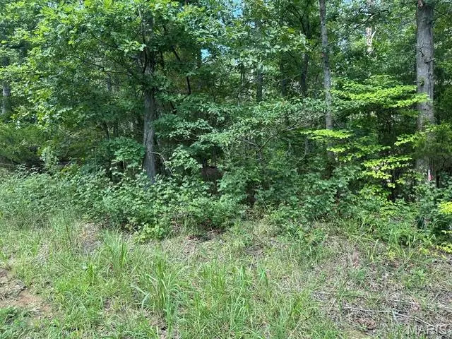 483 Buzzard Rock Road, Farmington, MO 63640 - #3