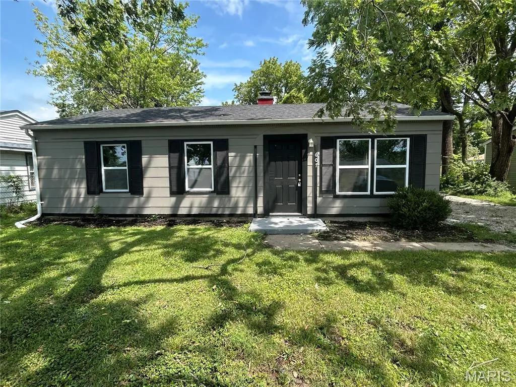 607 Saint Monica Drive, Cahokia, IL 62206 - #1