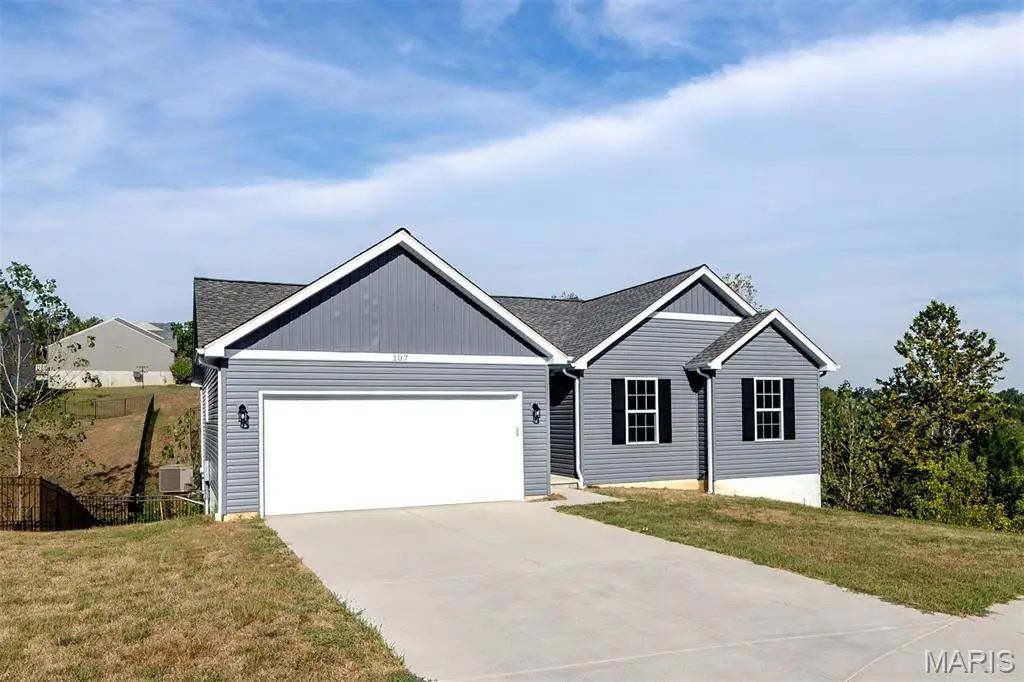 107 Cedar Heights, Festus, MO 63028 - #1