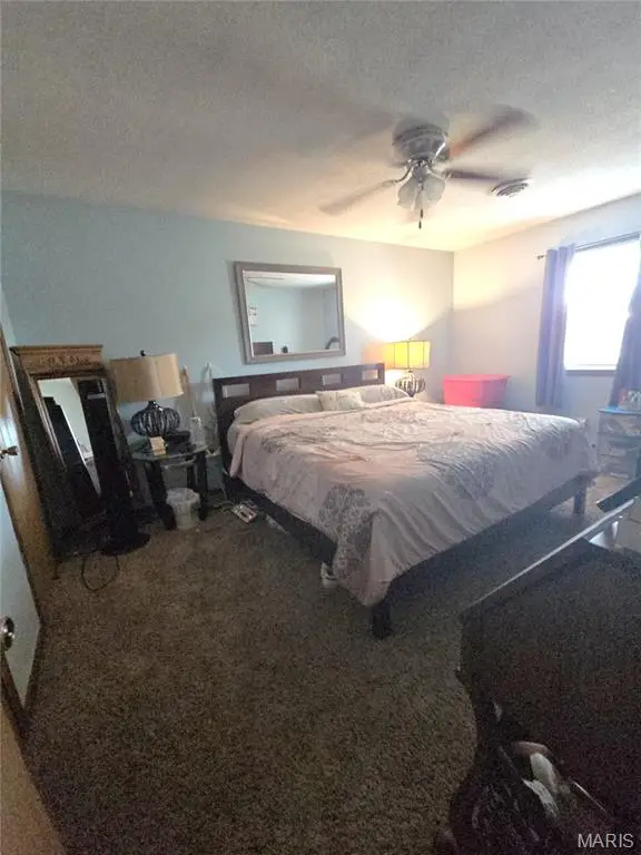 915 S Muldrow Street, Mexico, MO 65265 - #3