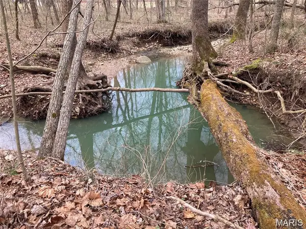 50.15 +/- Acres Pendleton Lost Creek Road, Warrenton, MO 63383