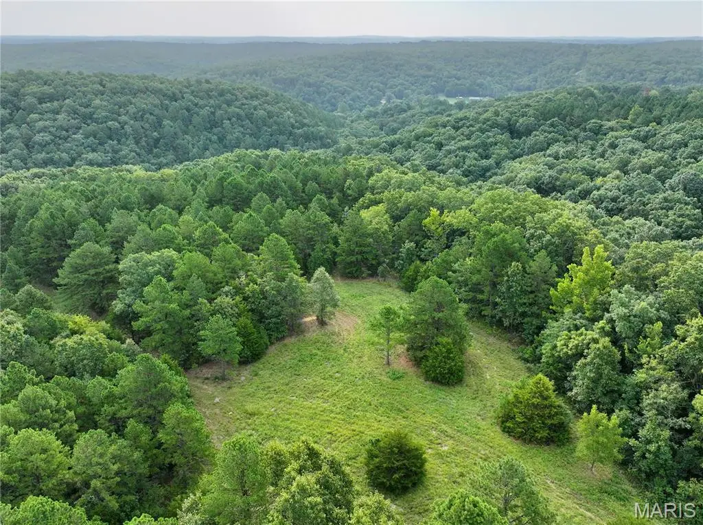 TBD County Road 6670 T8, Salem, MO 65560 - #1