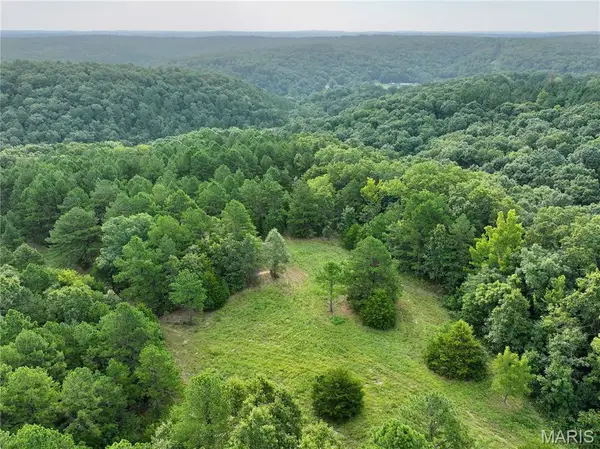 TBD County Road 6670 T8, Salem, MO 65560