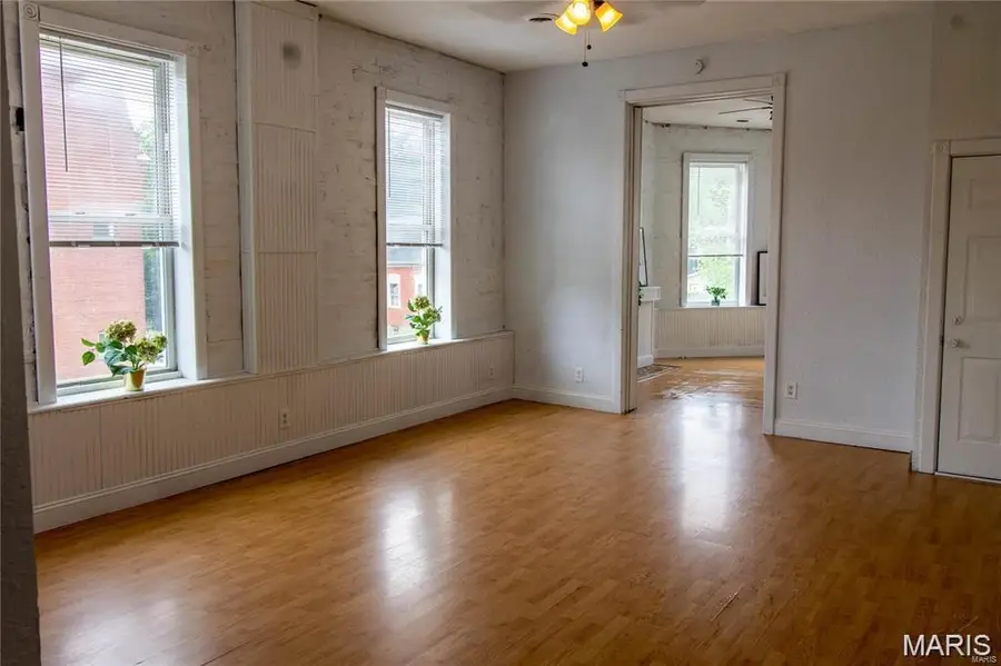 1956 Withnell Avenue, Saint Louis, MO 63118 - #3
