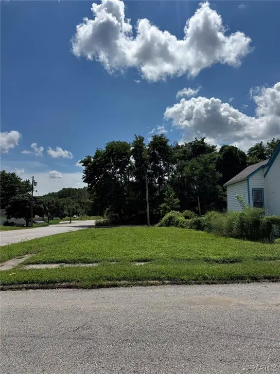 1101 Lyon Street, Hannibal, MO 63401 - #1