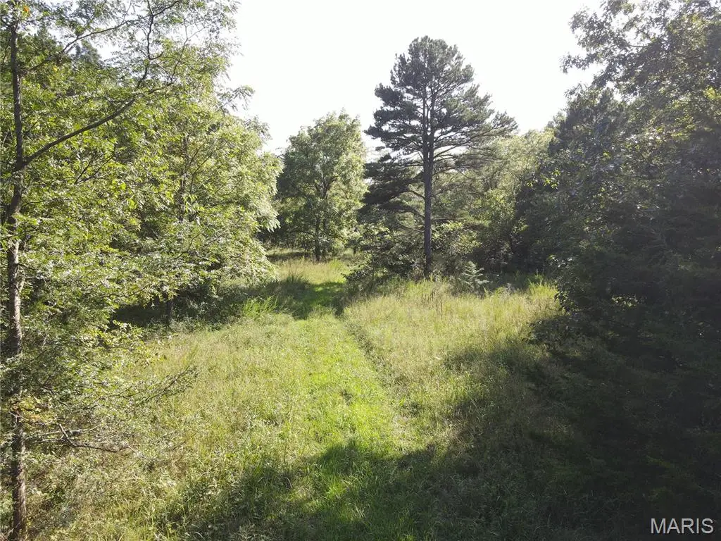 000 Aspen Road, Richwoods, MO 63071 - #1