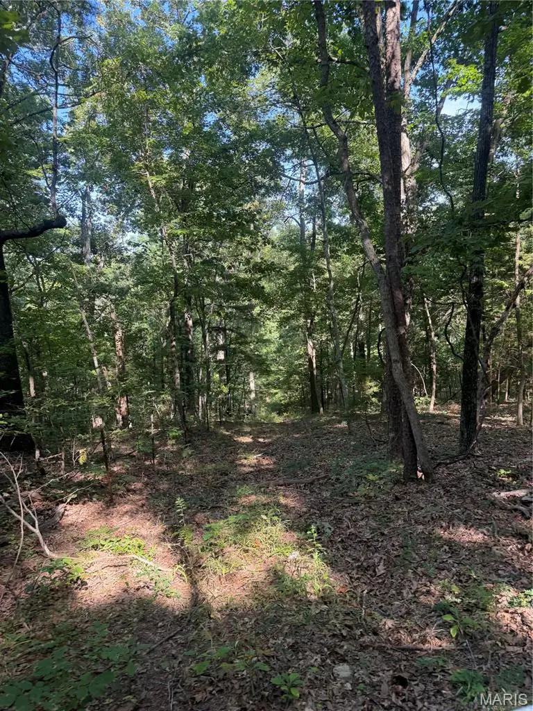 000 Aspen Road, Richwoods, MO 63071 - #3