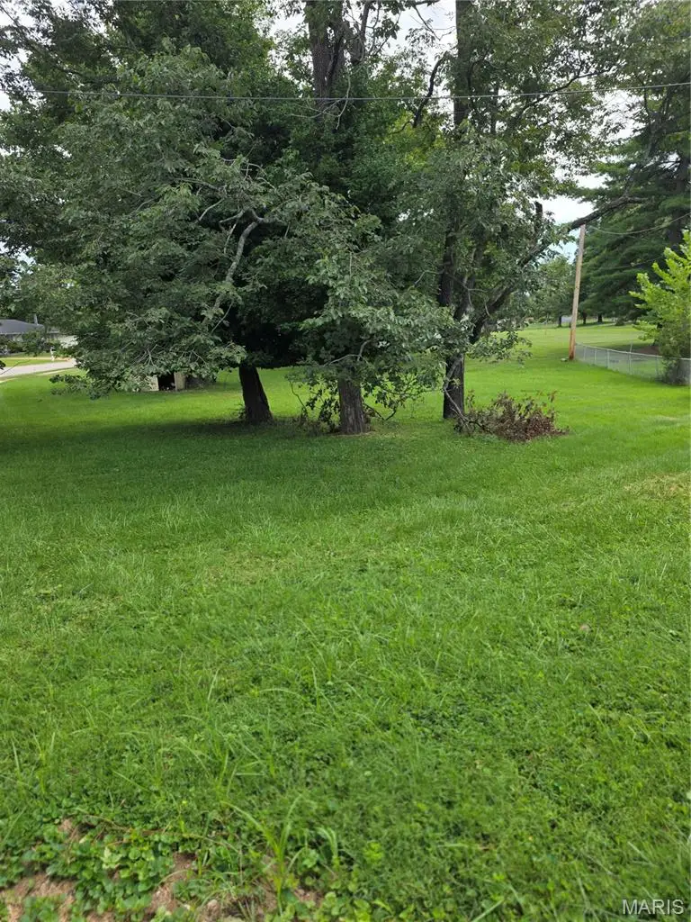 149 Hutchinson Road, Ellisville, MO 63011 - #2