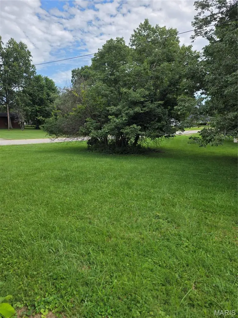 149 Hutchinson Road, Ellisville, MO 63011 - #3