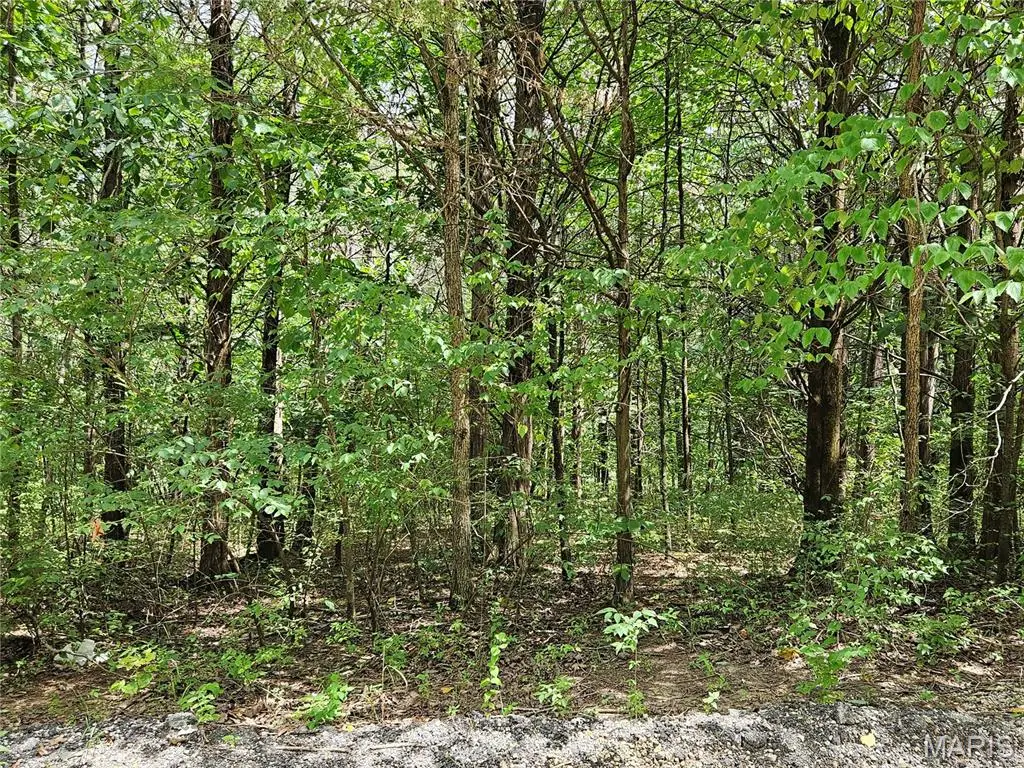 9480 Bent Tree Drive, Hillsboro, MO 63050 - #1