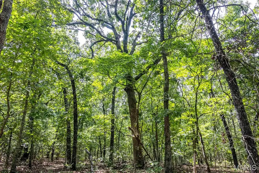 00 Fire Tower Road, Steelville, MO 65565 - #2