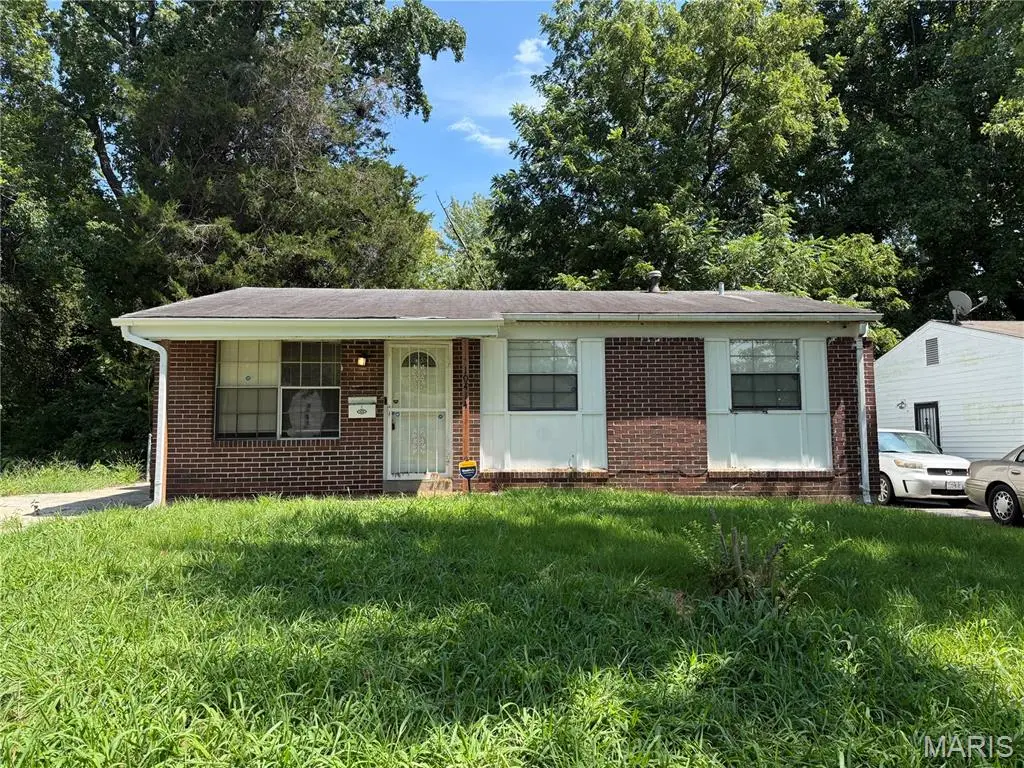 10414 Royal Drive, Saint Louis, MO 63136 - #1