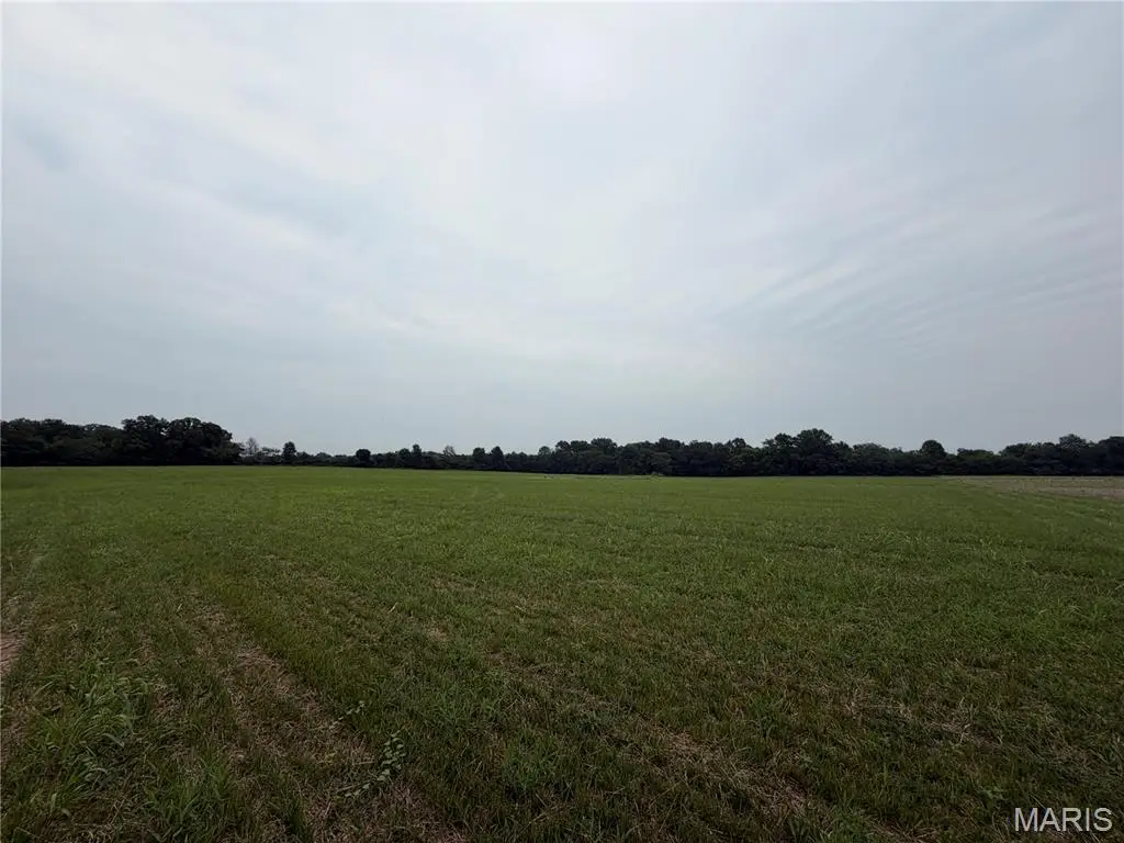 38.69 Acres Hickory Lick Rd., Wright City, MO 63390 - #1