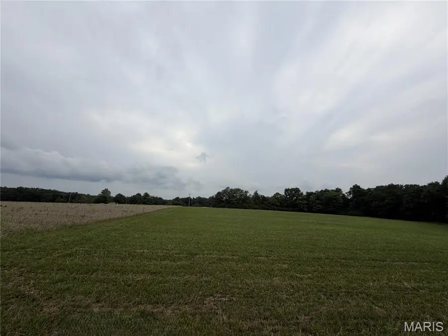 38.69 Acres Hickory Lick Rd., Wright City, MO 63390 - #3