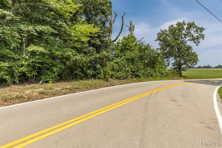3225 Carron Road, Festus, MO 63028 - #2