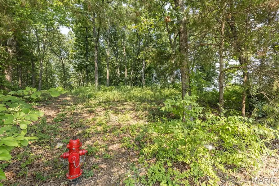 3225 Carron Road, Festus, MO 63028 - #3