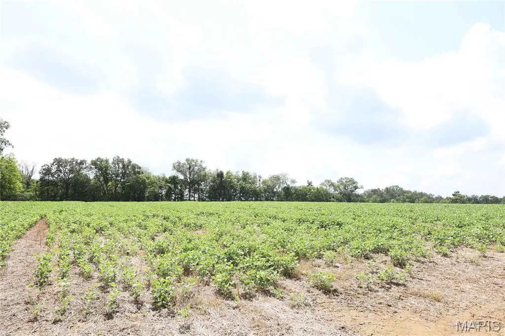 Off PCR 914 Lot 16, Perryville, MO 63775 - #1