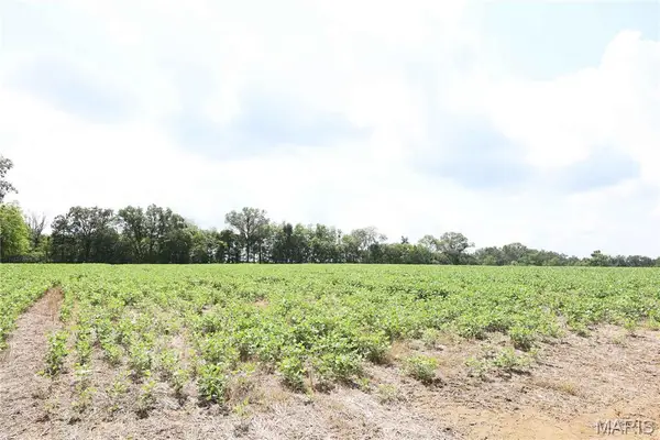 Off PCR 914 Lot 16, Perryville, MO 63775