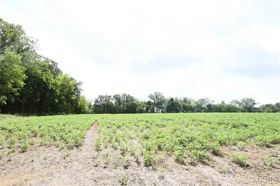 Off PCR 914 Lot 16, Perryville, MO 63775 - #3