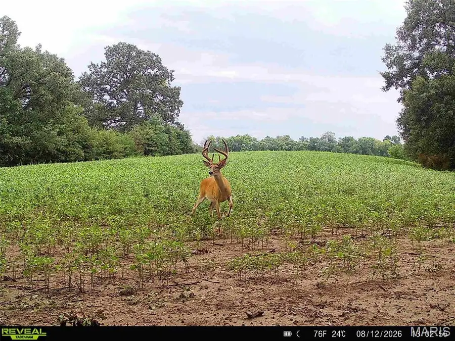 00 293 County Road, Kahoka, MO 63445 - #2