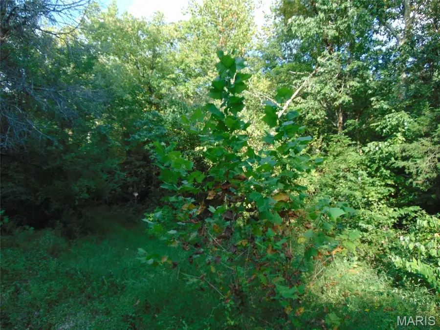 0 Robin, Doniphan, MO 63935 - #3