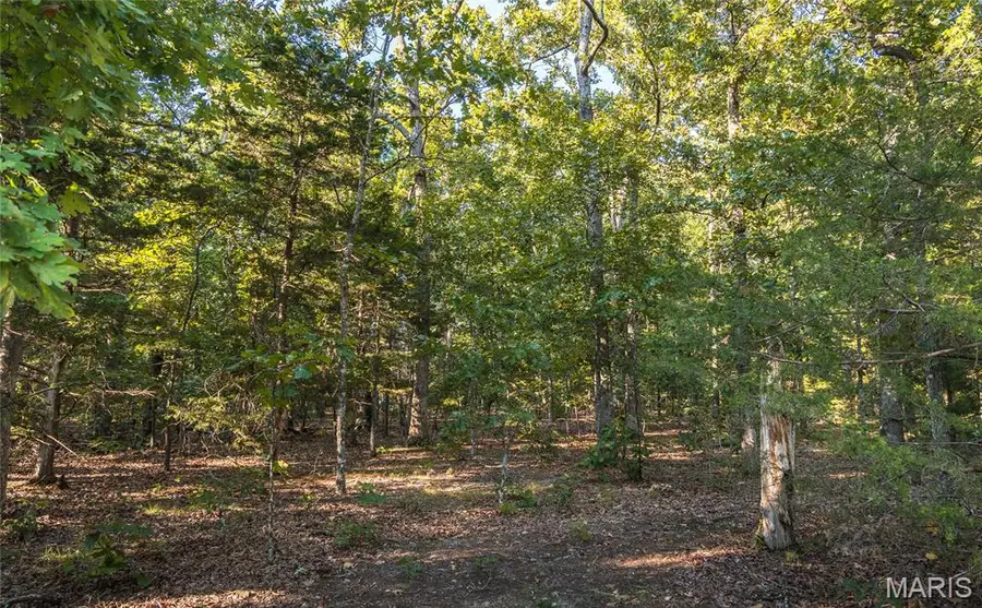 16501 State Route K, Edgar Springs, MO 65462 - #3