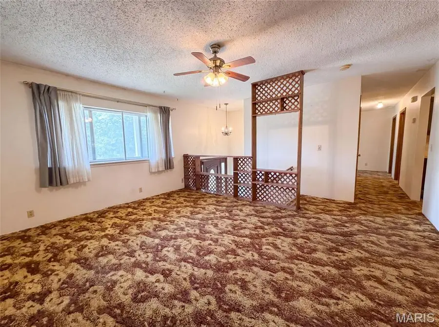 1005 S 3rd Street, Festus, MO 63028 - #3
