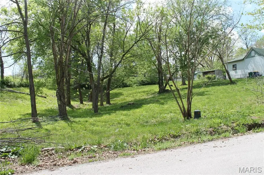 0 Virginia Street Lot 13, Saint Clair, MO 63077 - #2