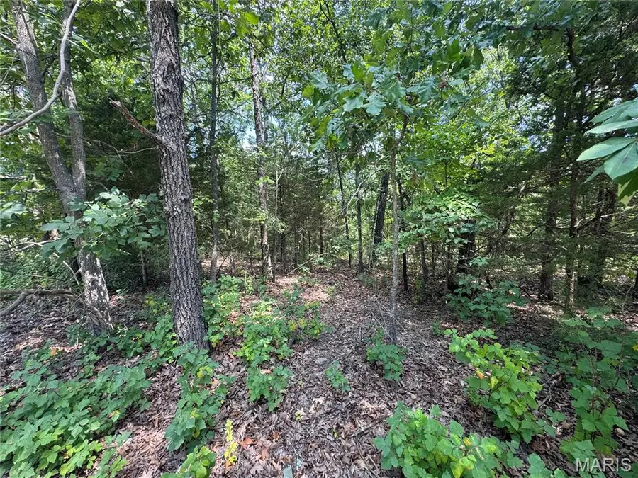 0 Rue Marne, Bonne Terre, MO 63628 - #2
