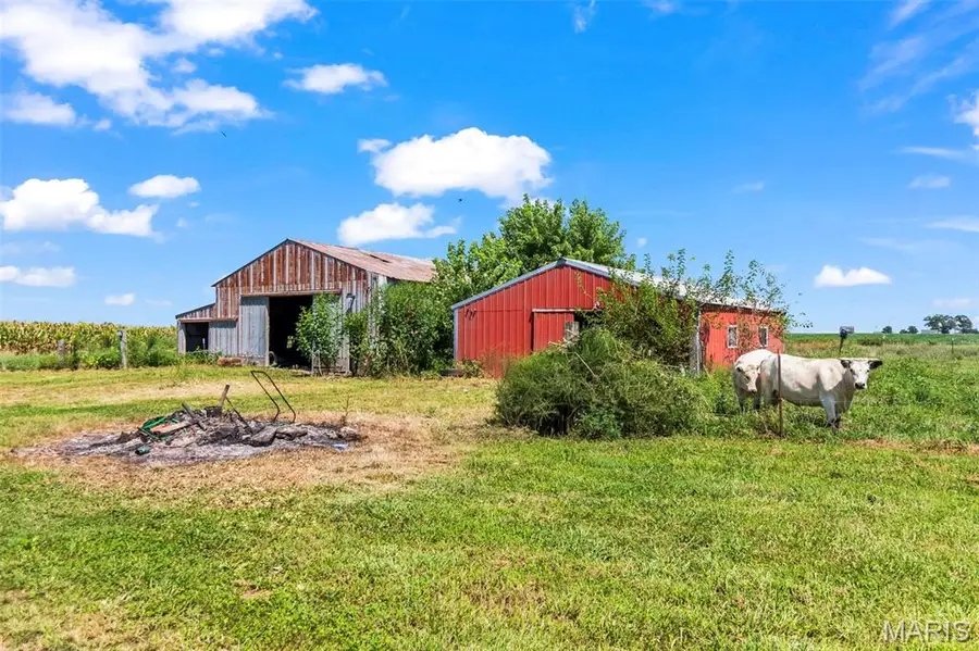 23946 Grosenheider Road, Litchfield, IL 62056 - #3