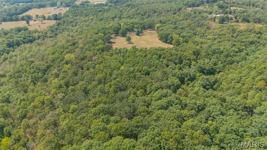 12502 Bell Road, Roby, MO 65557 - #2
