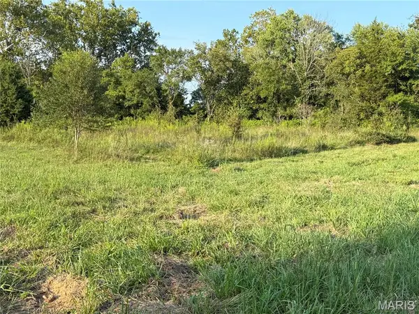 475 County Road 157, Des Arc, MO 63636